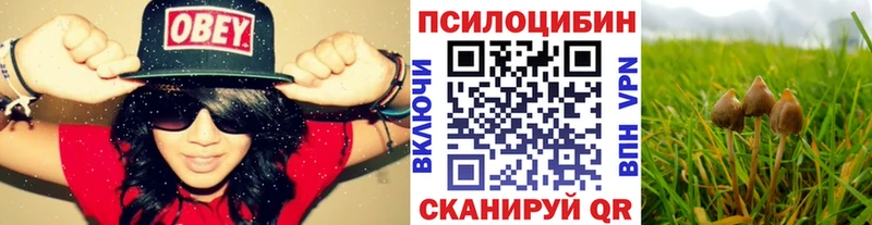 Псилоцибиновые грибы мухоморы  MEGA ссылка  дарк нет состав  Сосновка 