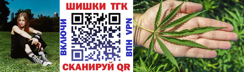 Каннабис индика  Сосновка 
